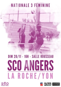 sco-volley-dalle-angevine-sport-angers